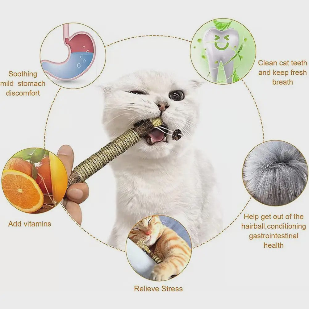 Natuurlijke Zilverrank Tandenknarsstaaf voor Katten - Speelgoed voor Tandverzorging & Reiniging
