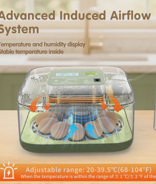 Automatische Incubator voor 12 Eieren met Temperatuur- en Vochtigheidsregeling