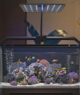 USB Aquarium LED Plantengroeilamp - Volledig Spectrum, Dimbare Verlichting met Timer & 360° Rotatie