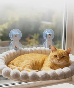 Kattenhangmat voor het Raam met Sterke Zuignappen - Comfortabele Zitplek voor Binnenkatten