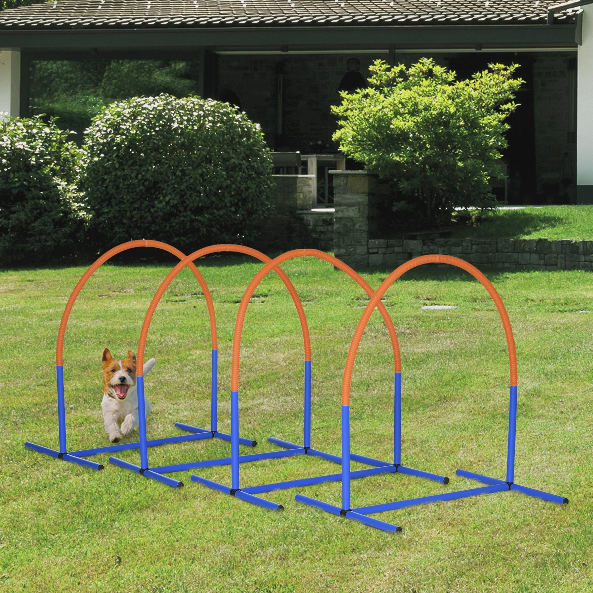 Hond Agility Trainingsset - Compleet met Draagtas en Hindernissen