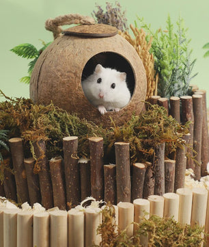 Natuurlijk Kokosnoot Hamsterhuis - Veilige & Bite-resistant Schuilplaats en Speelgoed voor Kleine Huisdieren