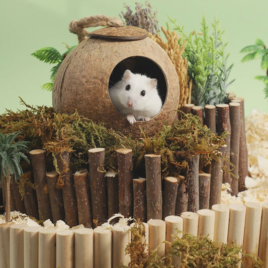 Natuurlijk Kokosnoot Hamsterhuis - Veilige & Bite-resistant Schuilplaats en Speelgoed voor Kleine Huisdieren
