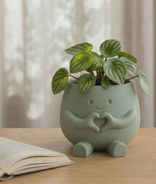Unieke Bloempot met Gezicht - Schattige Resin Plantenbak voor Succulenten en Decoratie