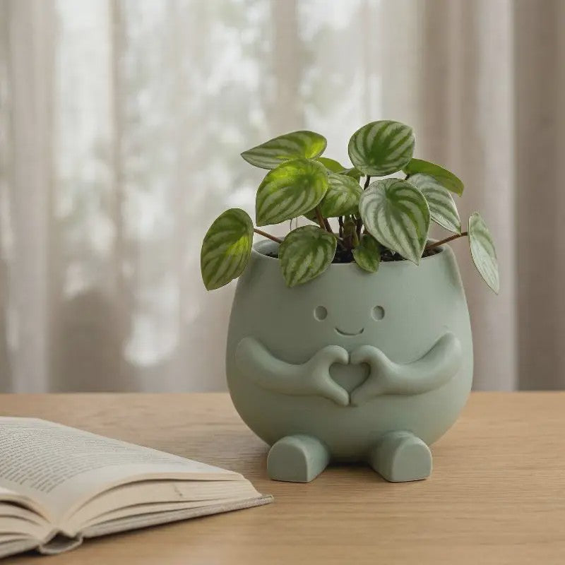 Unieke Bloempot met Gezicht - Schattige Resin Plantenbak voor Succulenten en Decoratie