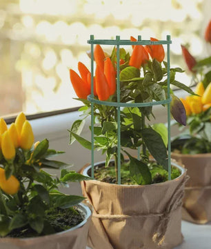 Plantensteun Stokken Set - Groen Plastic - Voor Bloemen & Planten