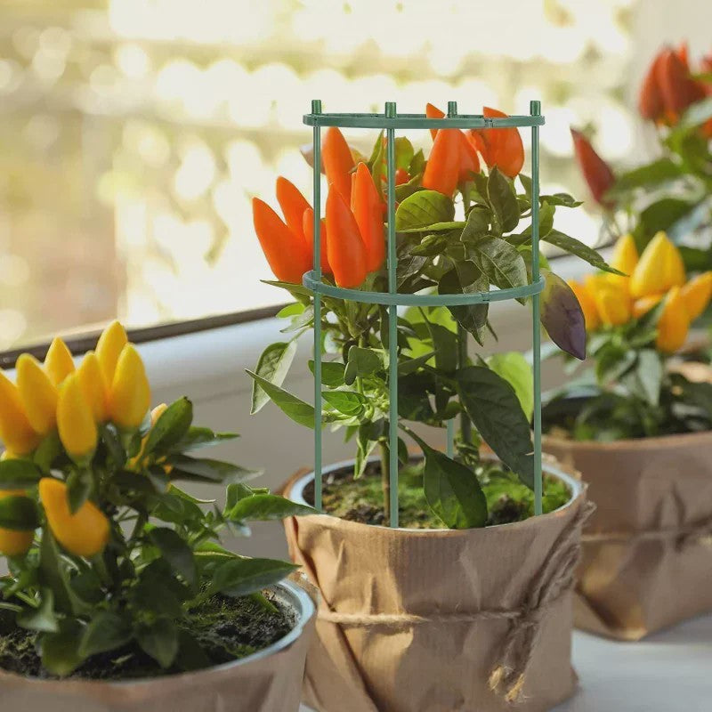 Plantensteun Stokken Set - Groen Plastic - Voor Bloemen & Planten