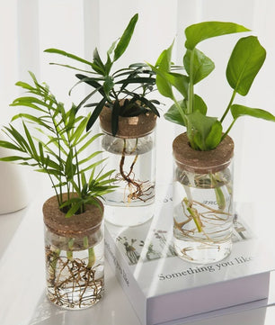 Glazen Hydroponics Vaas - Plantenstekken Station & Decoratie
