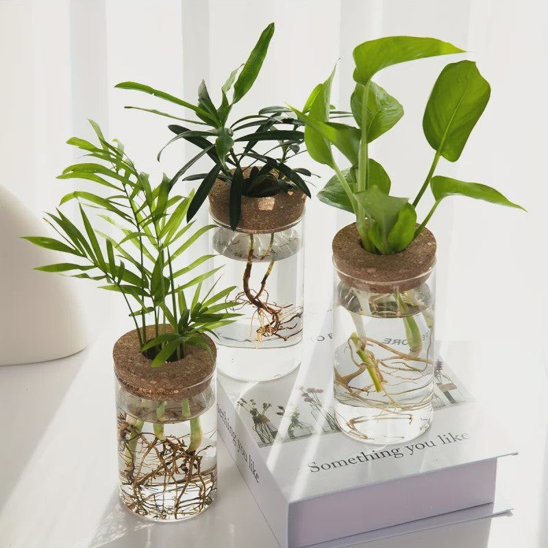 Glazen Hydroponics Vaas - Plantenstekken Station & Decoratie