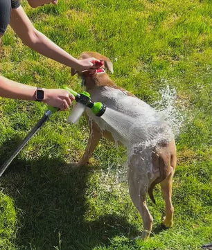 Hoge Druk Sproeier met Schuimfunctie - 8 standen voor Auto, Hond & Tuin