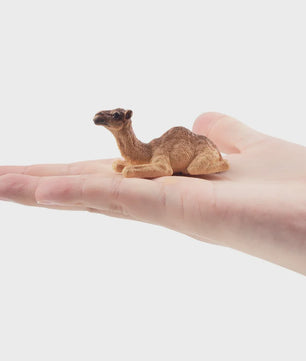 Toymany Camel Kalf Miniatuur Dier Model - Realistische Speelgoedfiguur voor Kinderen & Taartdecoratie