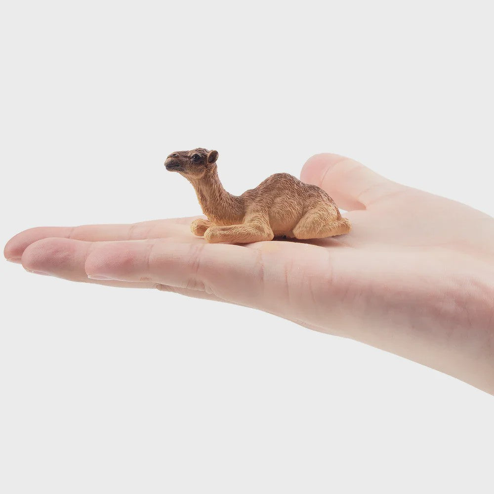 Toymany Camel Kalf Miniatuur Dier Model - Realistische Speelgoedfiguur voor Kinderen & Taartdecoratie