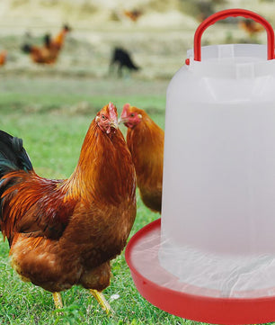 Automatische Kippen Drinkbak - Plastic Voederapparaat - Diverse Maten (1L t/m 18L)