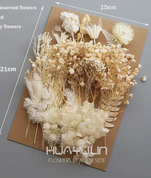 Set Gedroogde Bloemen & Hydrangea voor Ambacht & Decoratie