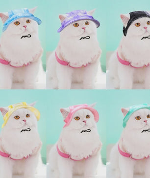 Grappige Honden- en Katten Zonnehoed met Oorgaten - Stijlvolle Tie-Dye Pet Accessoires