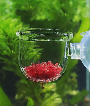 Aquarium Plantenbakje met Zuignap - Glas/Acryl Voederbakje & Plantenhouder