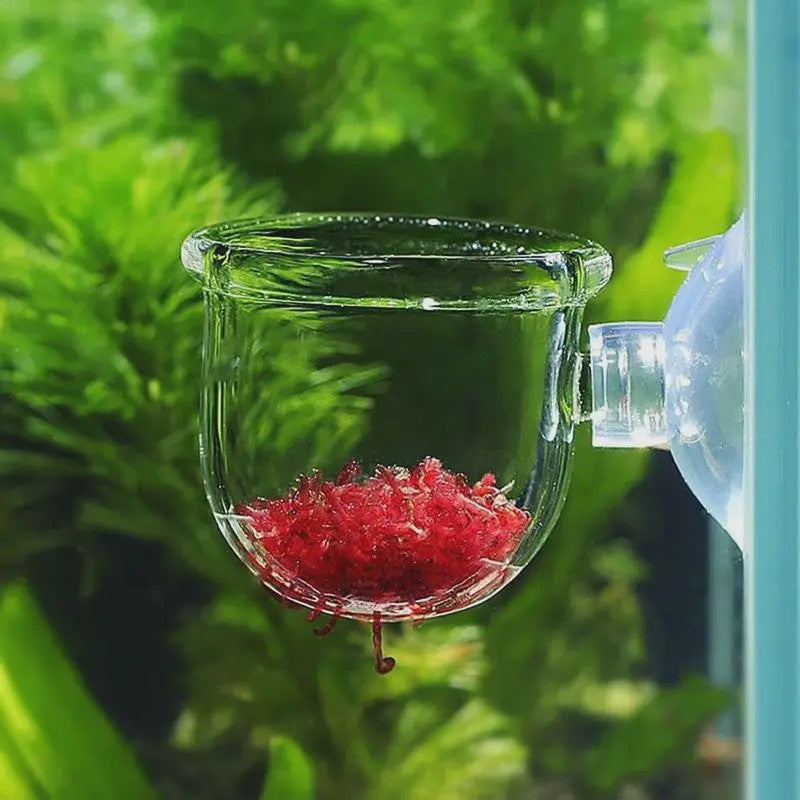 Aquarium Plantenbakje met Zuignap - Glas/Acryl Voederbakje & Plantenhouder