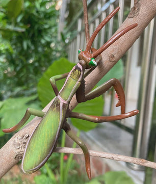 Realistisch Bidsprinkhaan Model - Educatief Speelgoed & Decoratie voor Kinderen