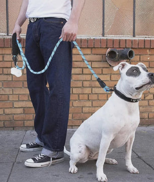 Sterke Hondenlijn met Zacht Handvat - 120/150/200/300cm - Voor Kleine tot Grote Honden
