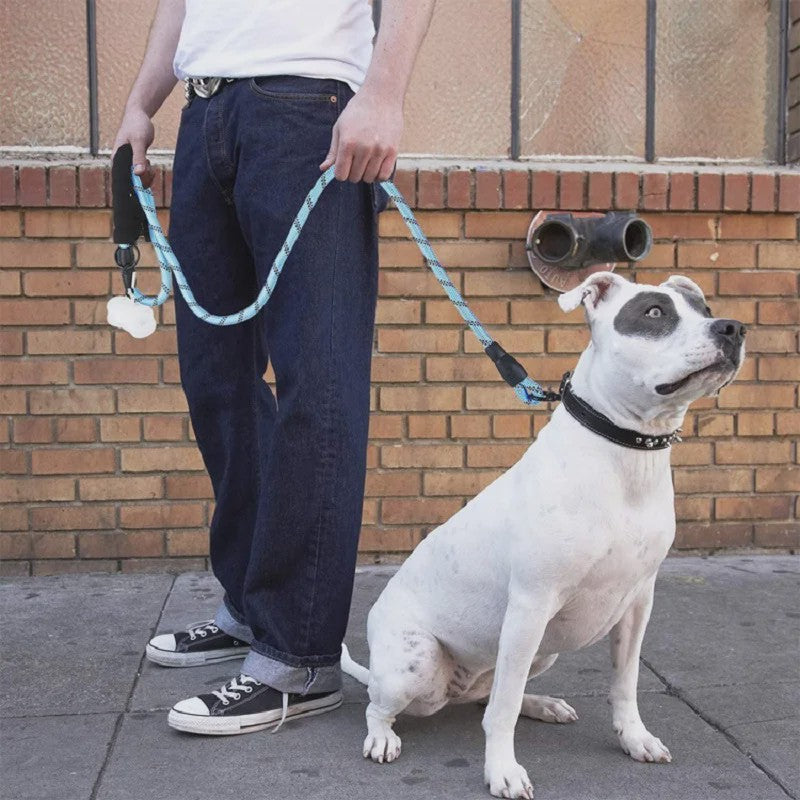 Sterke Hondenlijn met Zacht Handvat - 120/150/200/300cm - Voor Kleine tot Grote Honden