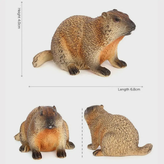 Realistische Marmot Beeldjes - PVC Sierfiguren voor Huisdecoratie