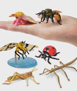 Toymany 12-delige Insecten Speelgoed Set - Realistische Mini Figuren voor Kinderen, Cadeau & Taartdecoratie
