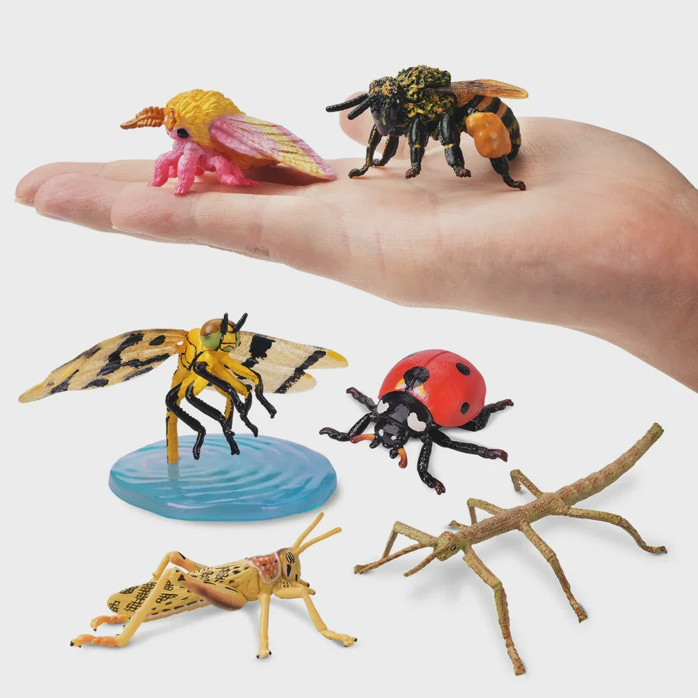 Toymany 12-delige Insecten Speelgoed Set - Realistische Mini Figuren voor Kinderen, Cadeau & Taartdecoratie