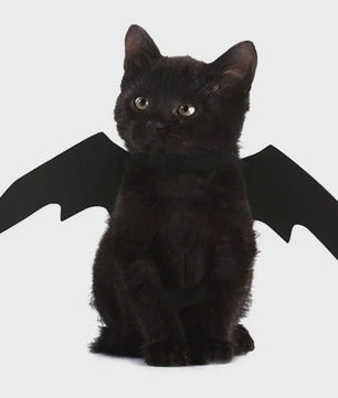 Zwarte Vleermuisvleugels Kostuum voor Kat en Hond - Feestelijke Cosplay Outfit