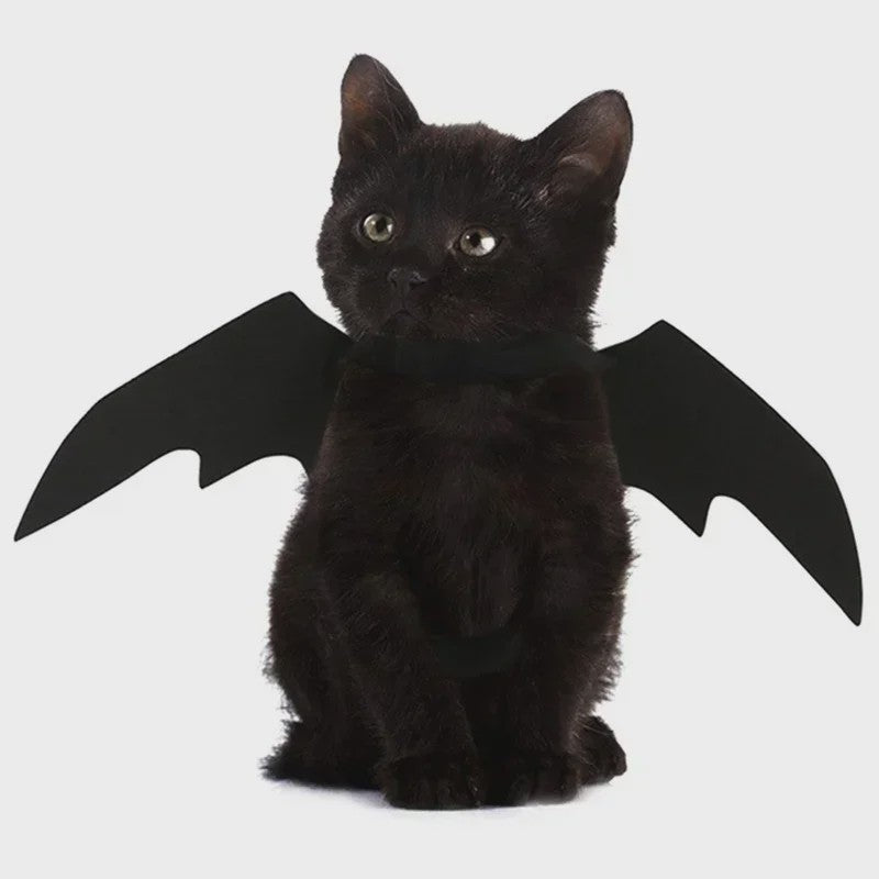 Zwarte Vleermuisvleugels Kostuum voor Kat en Hond - Feestelijke Cosplay Outfit