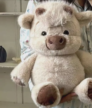 Schattige Schotse Hooglander Pluche Koe - Zachte Knuffel voor Kinderen