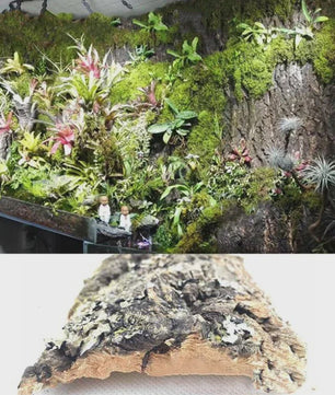 Natuurlijke Boomschors Decoratie voor Aquarium & Terrarium - Creëer een Realistische Achtergrond