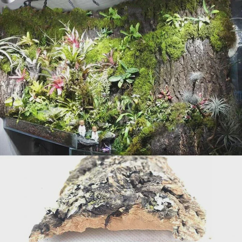 Natuurlijke Boomschors Decoratie voor Aquarium & Terrarium - Creëer een Realistische Achtergrond