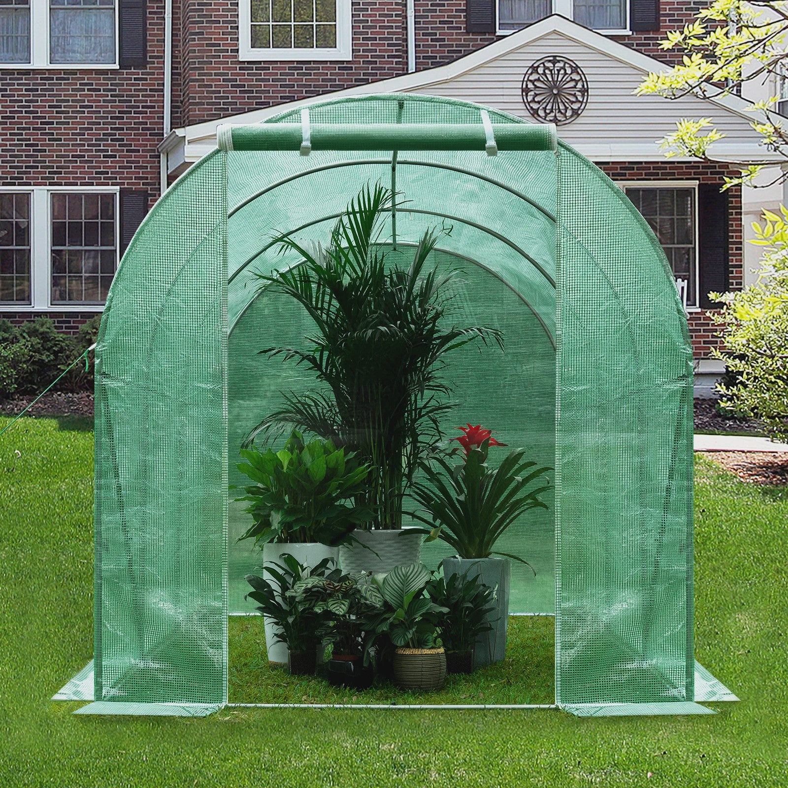WOLTU Tunnelkas 300x200x200cm - Winterharde Polytunnel voor Groenten, Fruit & Bloemen