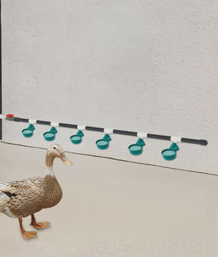 Automatische Drinkbak Set voor Kippen, Vogels, Kwartels & Duiven - PVC & RVS