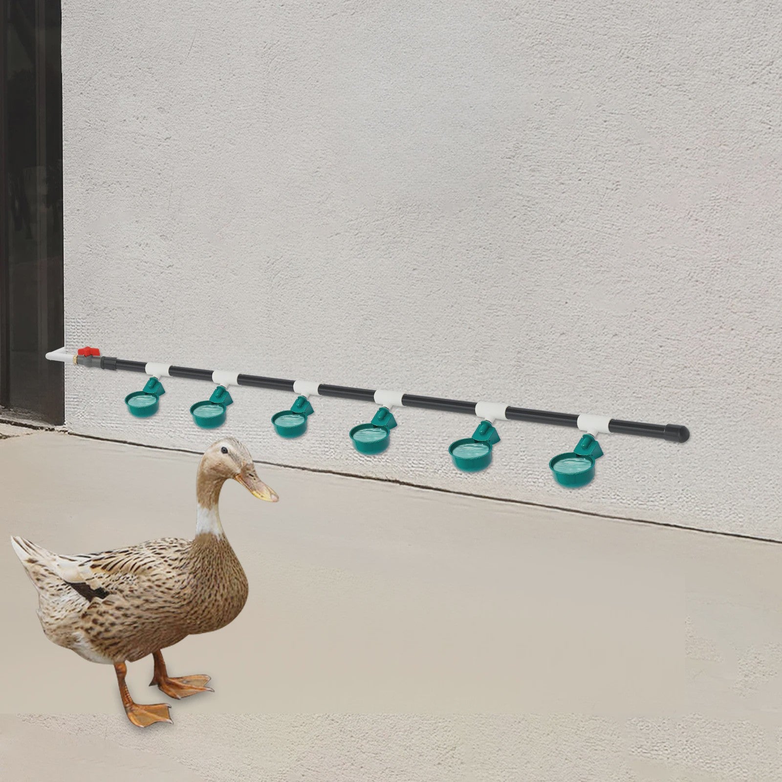 Automatische Drinkbak Set voor Kippen, Vogels, Kwartels & Duiven - PVC & RVS