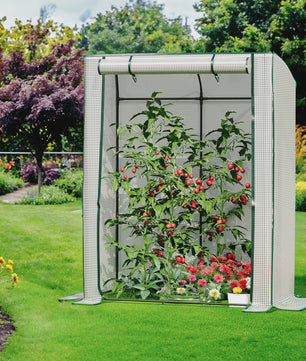 Kleine Folie Kas voor Tomaten en Planten - 128x70x170 cm met Roldeur