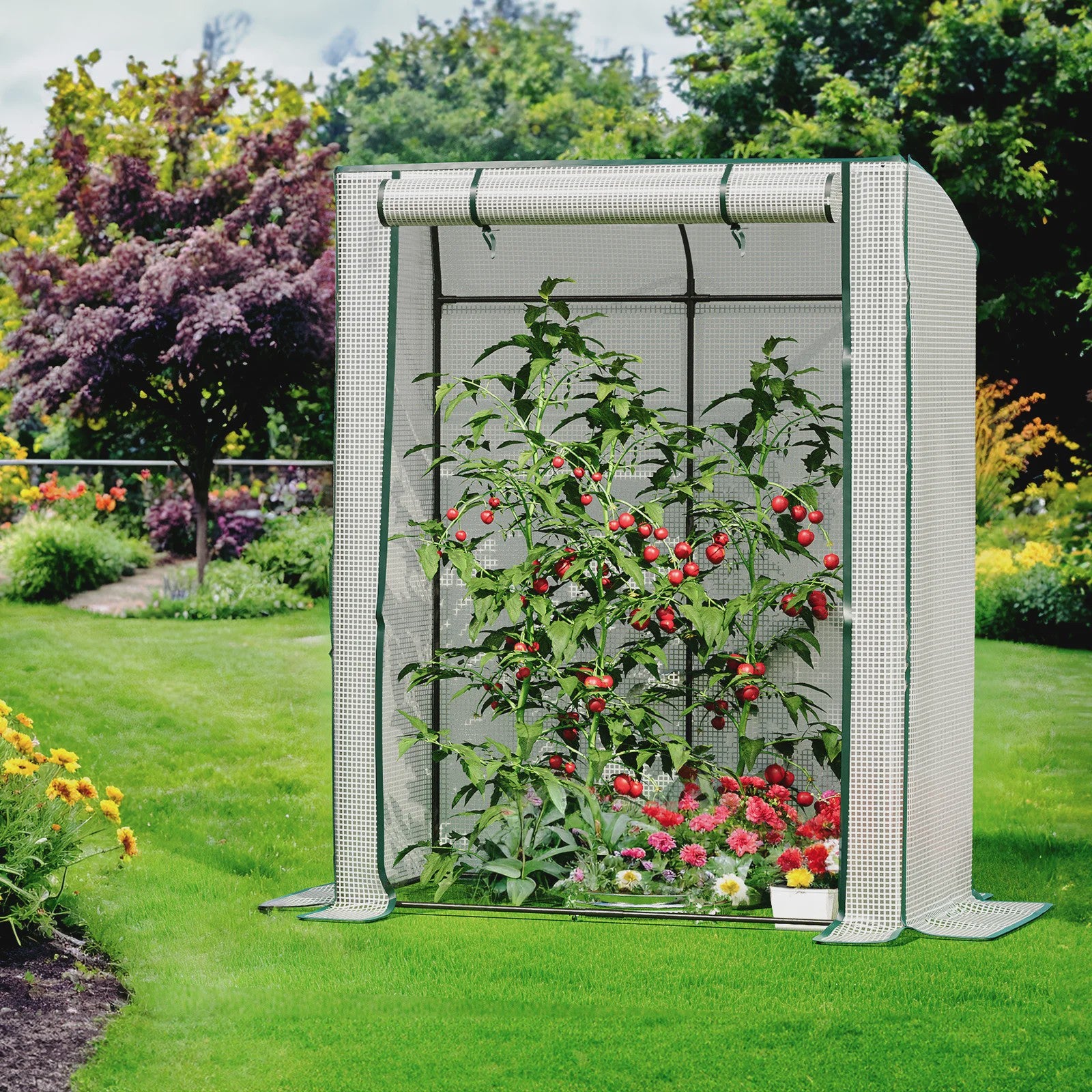 Kleine Folie Kas voor Tomaten en Planten - 128x70x170 cm met Roldeur