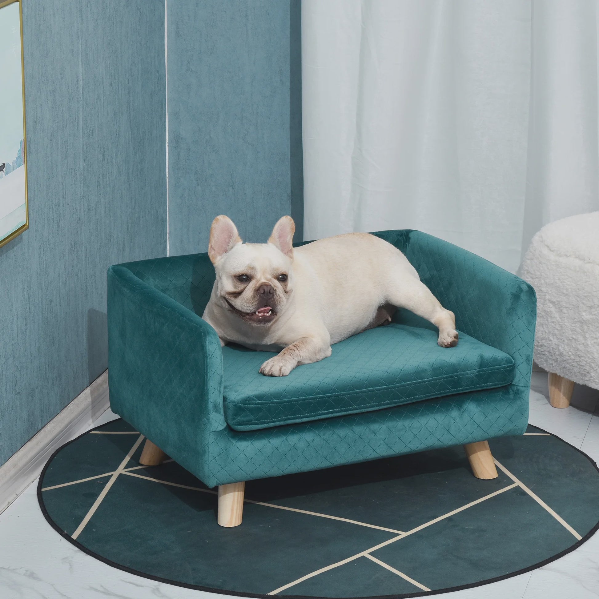 Luxe Hondensofa met Scandinavisch Design - Zacht Fluweel, Blauw, 64x45x36 cm