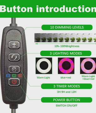 HOMEFISH LED Plantengroeilamp met Timer & Dimfunctie - Volledig Spectrum