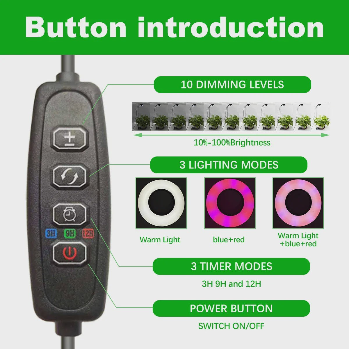 HOMEFISH LED Plantengroeilamp met Timer & Dimfunctie - Volledig Spectrum
