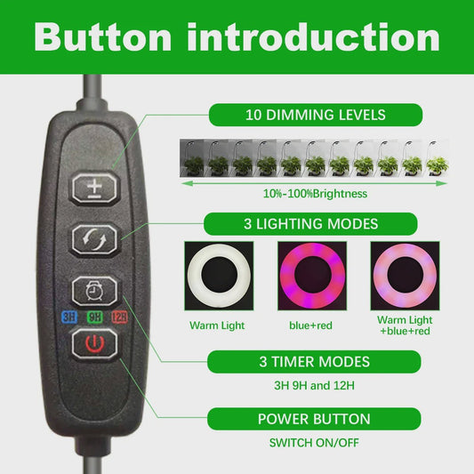 HOMEFISH LED Plantengroeilamp met Timer & Dimfunctie - Volledig Spectrum