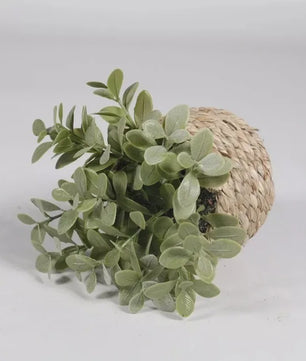 Kunstplant Eucalyptus Gras in Geweven Mandje - Decoratieve Kunstplant voor Huis & Kantoor