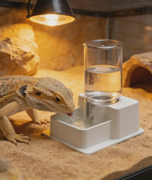Automatische Reptielen Voerbak & Waterdispenser - Zelfvoorzienend en Afneembaar
