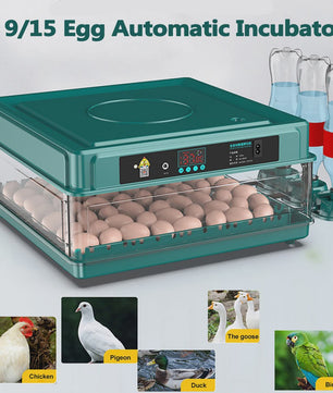 Automatische Broedmachine voor Kippen, Ganzen, Vogels & Kwartels - Enkele/Dubbele Stroom - EU Stekker