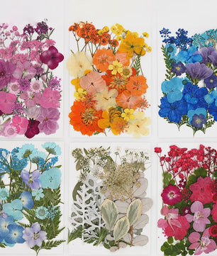 30 Stuks Gedroogde Persbloemen - Natuurlijke Bloemen & Bladeren voor Resin Art, Knutselen en Decoratie