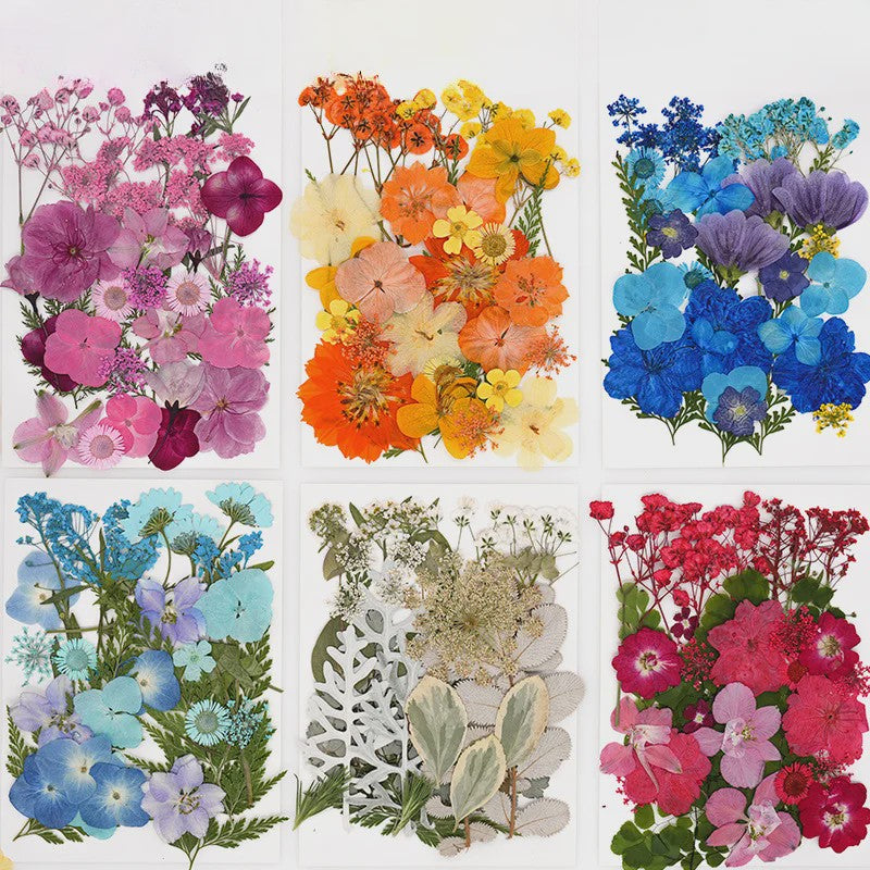 30 Stuks Gedroogde Persbloemen - Natuurlijke Bloemen & Bladeren voor Resin Art, Knutselen en Decoratie