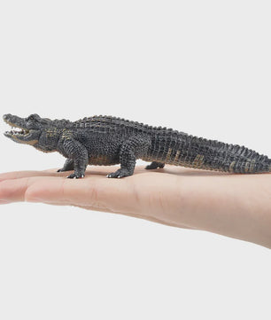 Realistische Alligator Speelfiguur - Wildlife Model voor Kinderen, Cadeau & Taartdecoratie