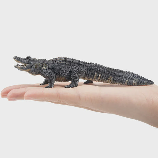 Realistische Alligator Speelfiguur - Wildlife Model voor Kinderen, Cadeau & Taartdecoratie