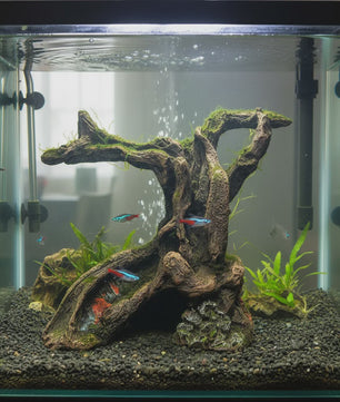 Realistische Hars Boomstronk Decoratie voor Aquarium & Terrarium - Veilige Vis Hideaway
