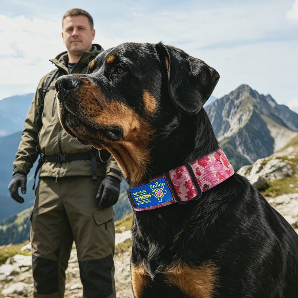 TSPRO Tactische Hondenhalsband Heavy Duty met Metalen Gesp - Verstelbaar voor Middelgrote tot Grote Honden